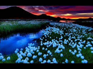 Lilmattgannesh la notte blu