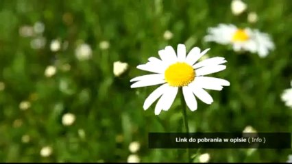 metin xenox mt2 pobierz