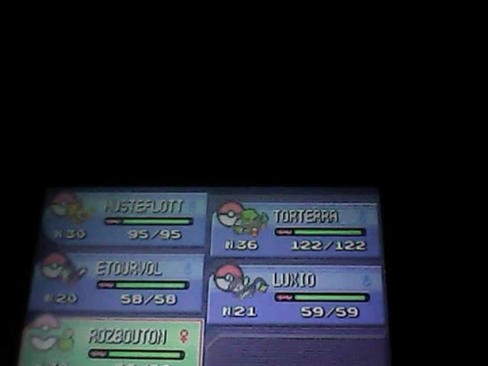 motisma pokemon platine