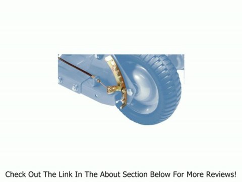 Tanaka TLE-600 Commercial Grade Gas-Powered Walk-Behind Edger 50cc 2.5 HP 2-Stroke Review