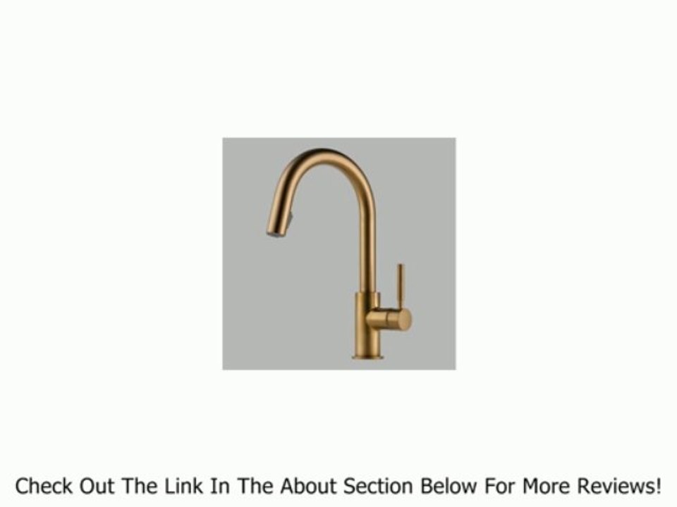 Brizo 63020LF-SS Solna Single Handle Pull-Down Kitchen Faucet, Stainless Review