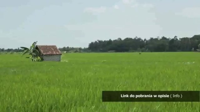 dzwonek sms nokia standardowy