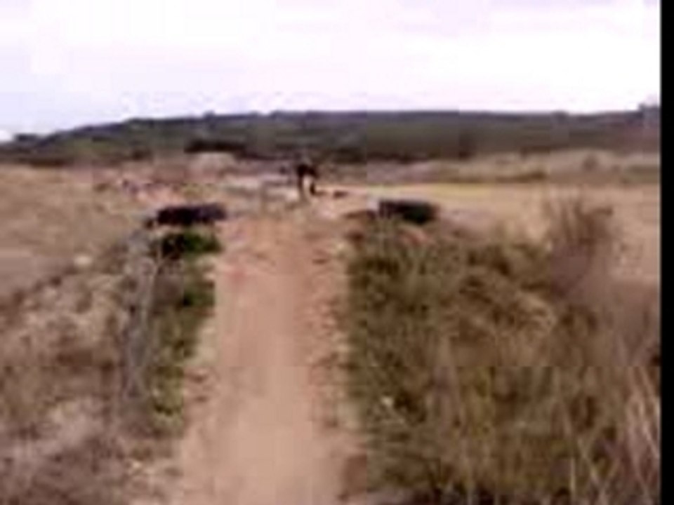 MOV00008