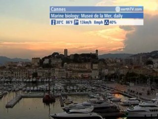 Stuttgart - Germany, Lucerne - Switzerland, Salzburg - Austria, Cannes - France, Niagara Falls - Canada, London - United Kingdom, Palma de Mallorca - Spain