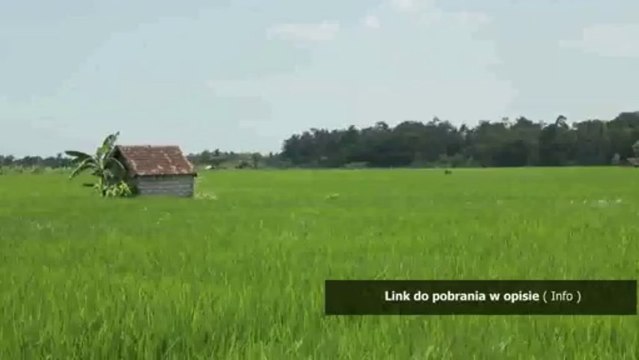 wzor upowaznienia do odbioru prawa jazdy