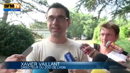 Les éléphantes Baby et Népal sont arrivées à Monaco - 12/07