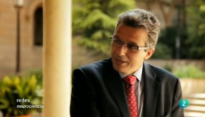 Pascual-Leone: Estimulacion cerebral no invasiva