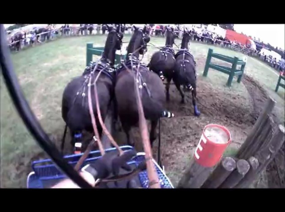 Gilles Moussu - Sandrigham 2013 - Obstacle 1 - Concours d'attelage à 4 poneys