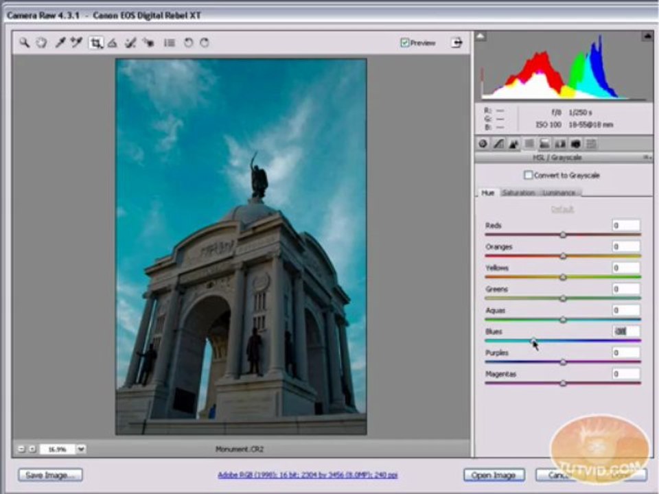 Adobe CS TUT VID-10cameraRaw101YT