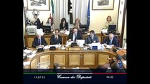 Roma - L'audizione del Ministro Massimo Bray (11.07.13)