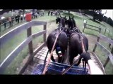 Gilles Moussu - Sandringham 2013 - Obstacle 4 - Concours d'attelage à 4 poneys