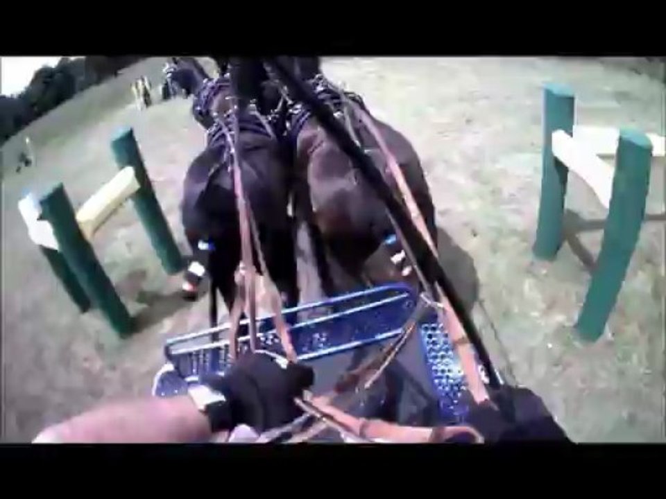 Gilles Moussu - Sandringham 2013 - Obstacle 5 - Concours d'attelage