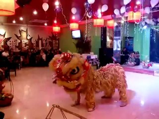 CUNG CẤP MÚA LÂN, CHO THUÊ XIẾC THÚ, ẢO THUẬT lh:0968 168 724