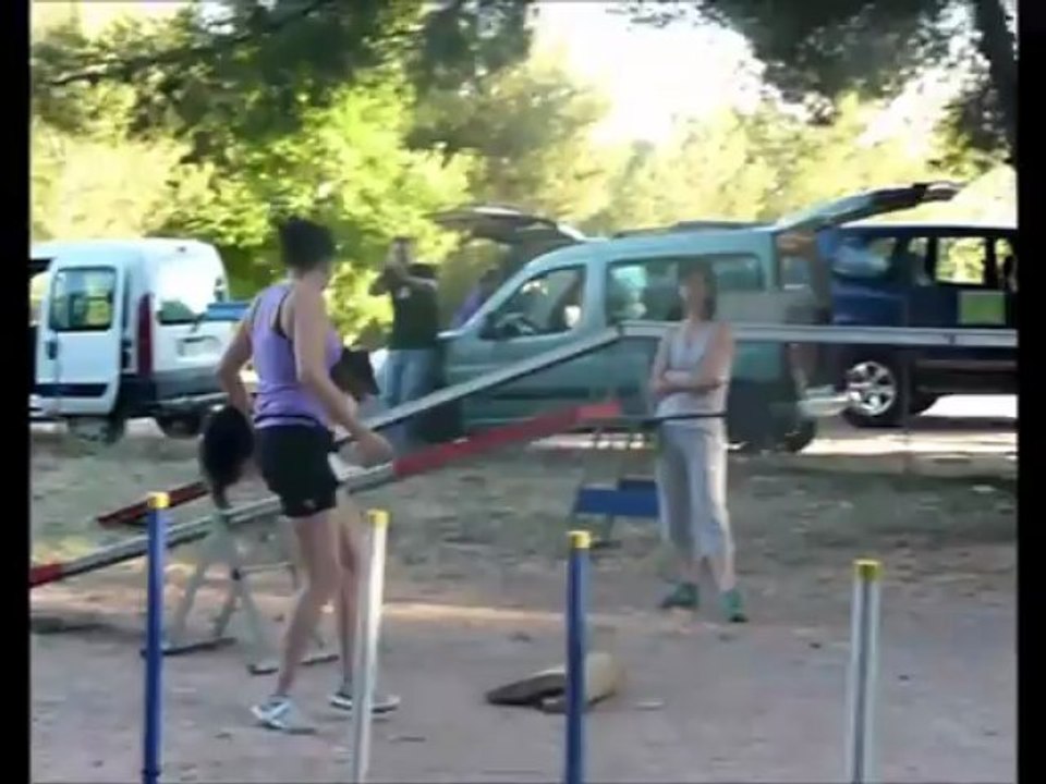 smoothie & l'agility "10 mois"