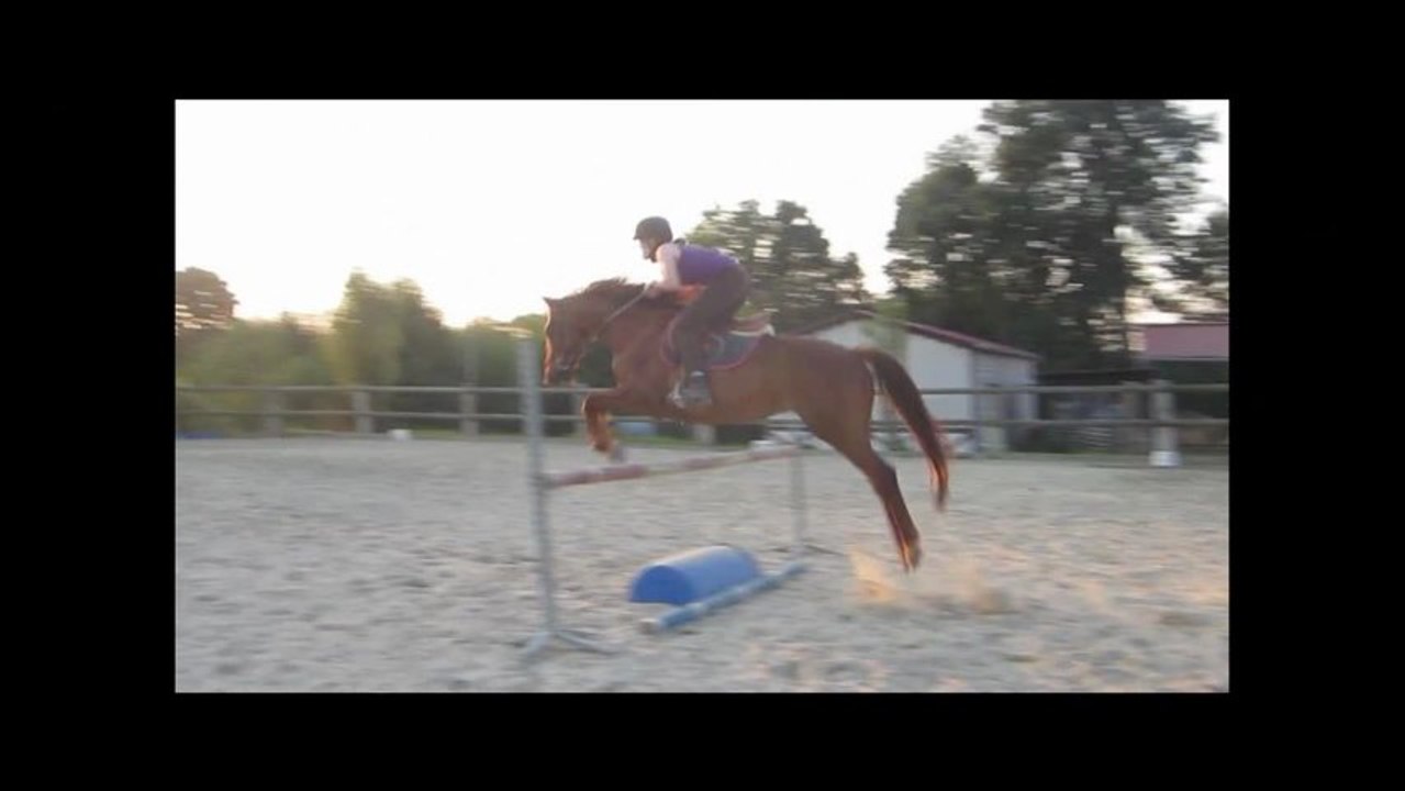 Aristo et Lord séance de sauts 08-07-13