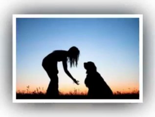 Puppy Mart: Largest US Pet Shop 🐶