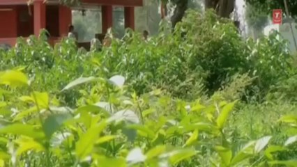 ☞ Yaa Meri Apani Katha - Full Video Song - Teri Maya Maa Garhwali Film