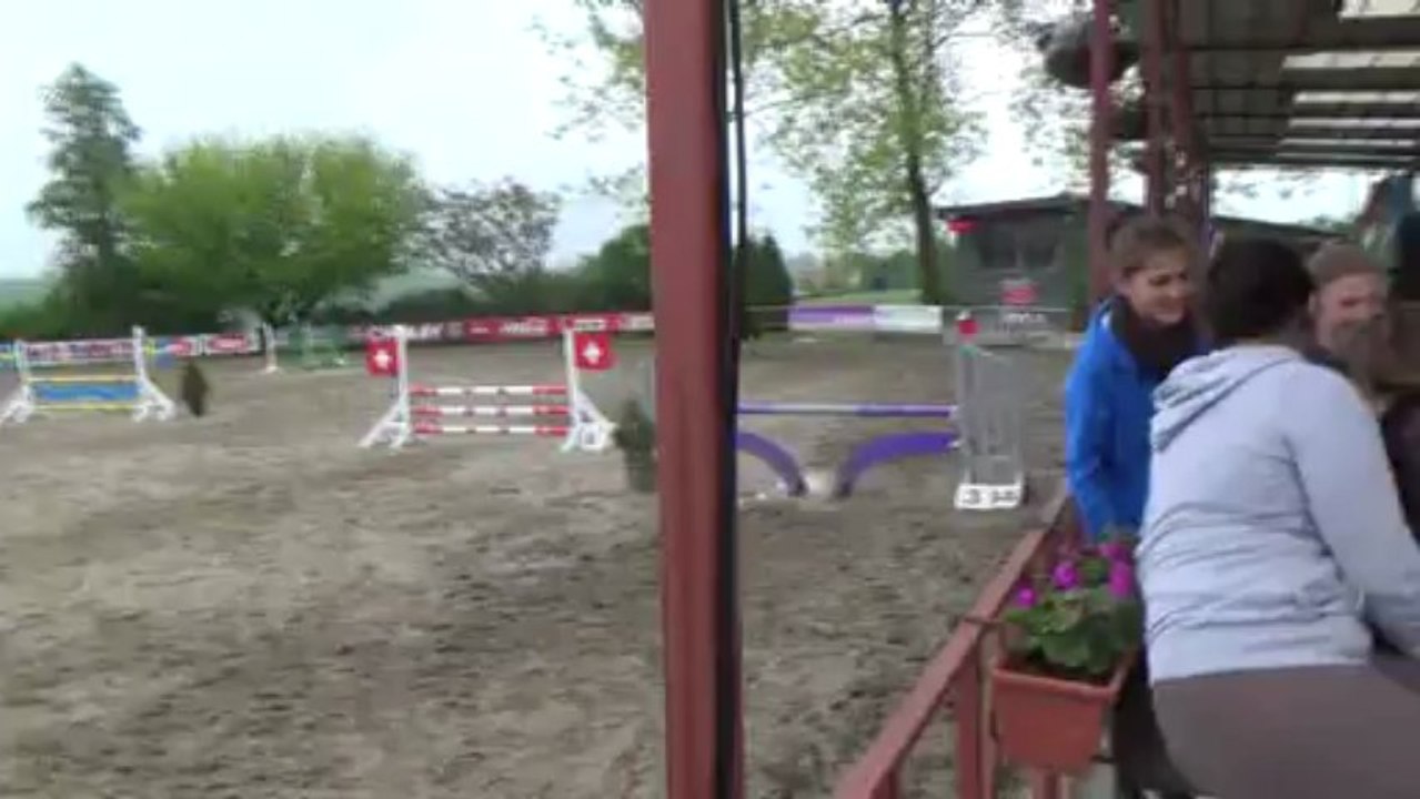 jument heartbreaker voltaire 2000