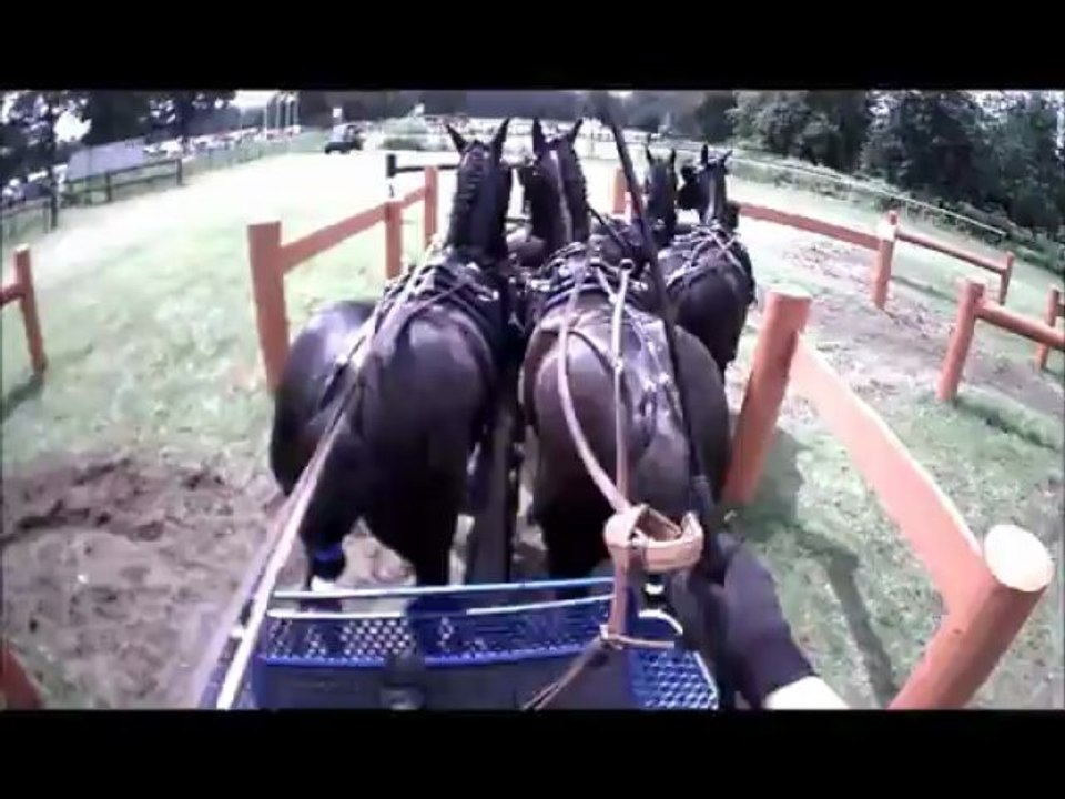 Gilles Moussu - Sandringham 2013 - Obstacle 6 - Concours d'attelage à 4 poneys