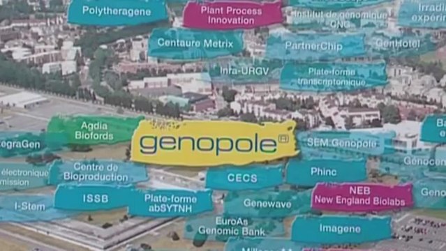 Evry Centre Essonne : le Grand Stade de rugby [02]