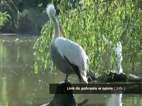 sprawdzian biologia puls zycia 2 aparat ruchu