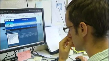 Mettre en place une météo des méduses pour prévoir l'afflux de cet été