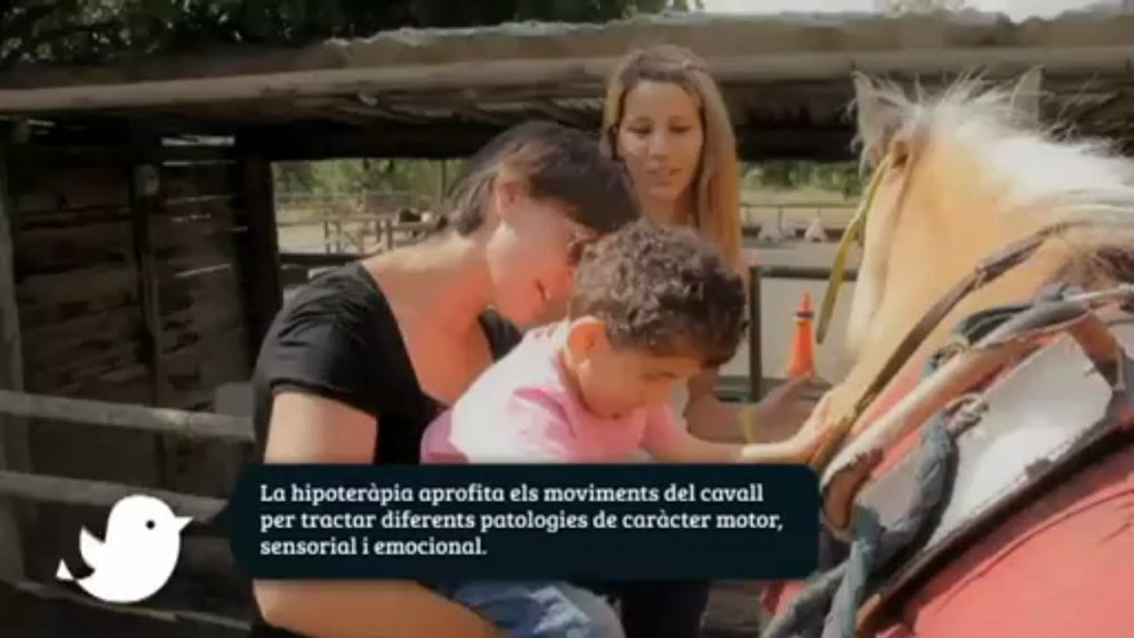 TV3 - Un Dia Perfecte en Família per Catalunya - Un Dia Perfecte en Família per Catalunya - capí