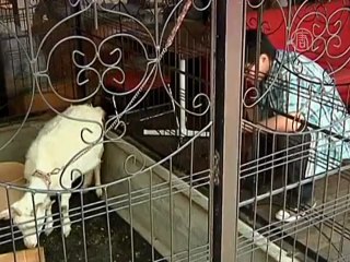 «Козье» кафе приглашает отдохнуть