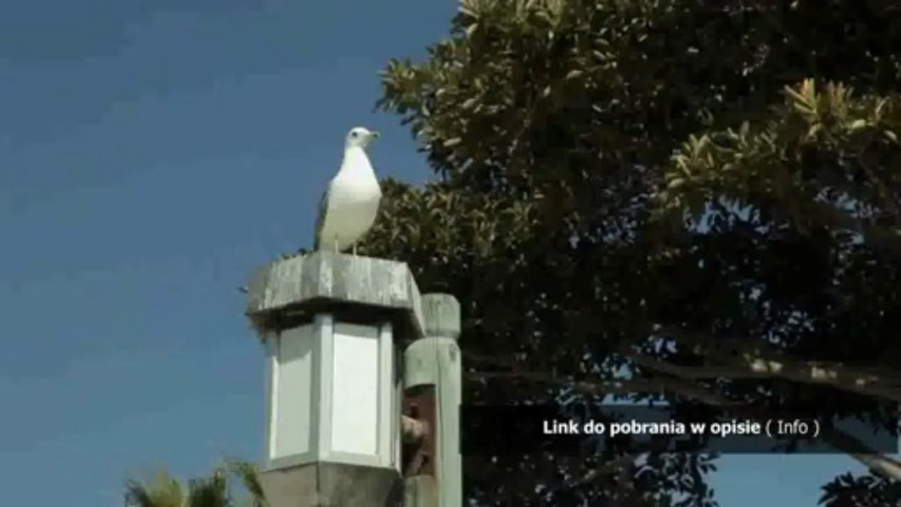 spolszczenie do prototype 2