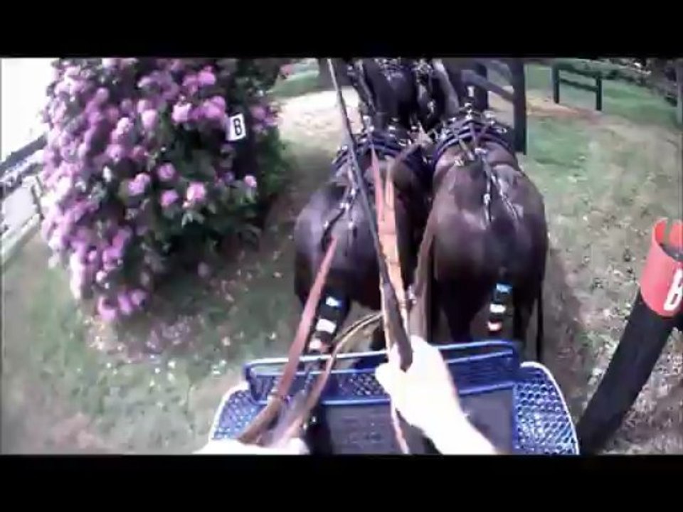 Gilles Moussu - Sandringham 2013 - Obstacle 8 - Concours d'attelage à 4 poneys