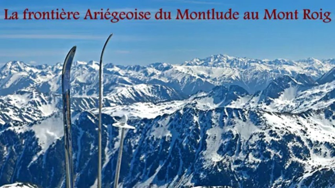 Montardo