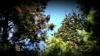 Proof of Heaven. Eben Alexander