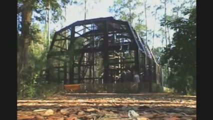 Center For Great Apes - Sanctuary Spotlight 2