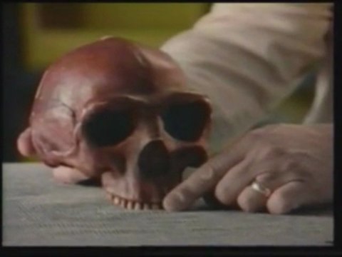 Evrim Teorisinin Çöküşü Yaratılış Gerçeği 7/8 harunyahya.org