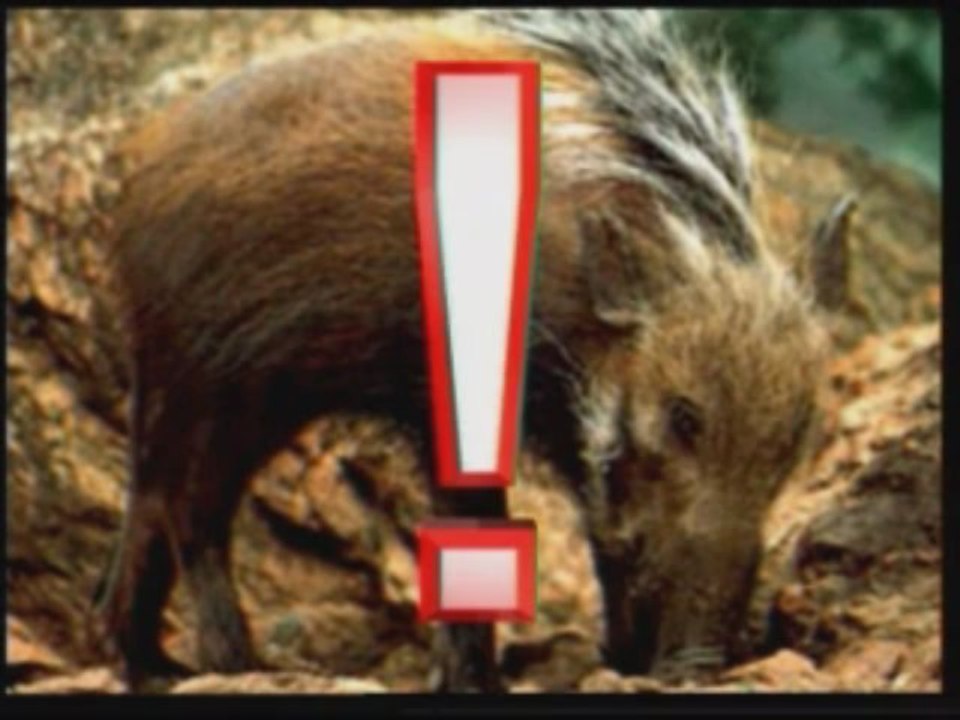 Evrim Teorisinin Çöküşü Yaratılış Gerçeği 8/8 www.harunyahya.org