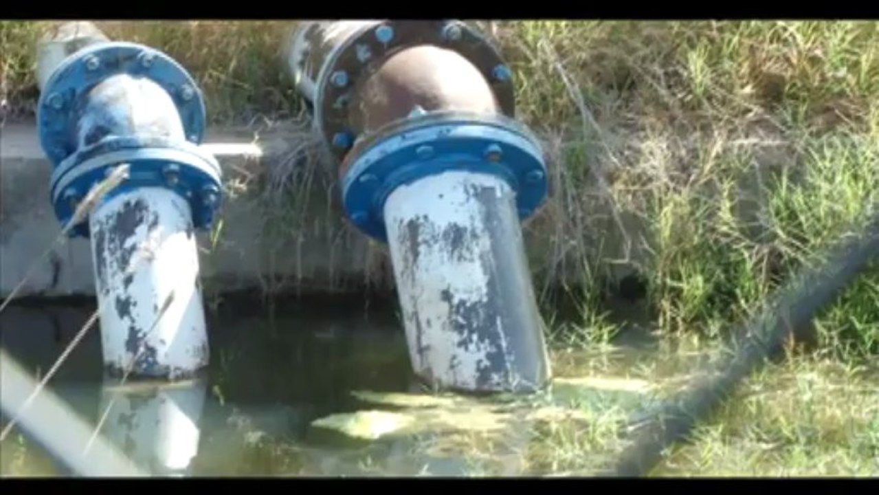 guicho y agua