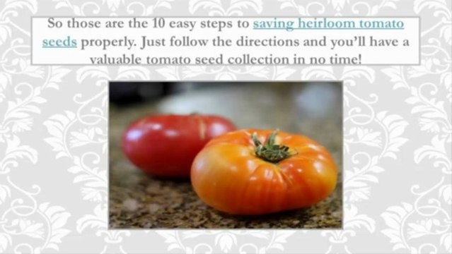Heirloom Tomato Seeds