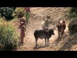 Farm fresh potatoes: high altitude Uttarakhand village