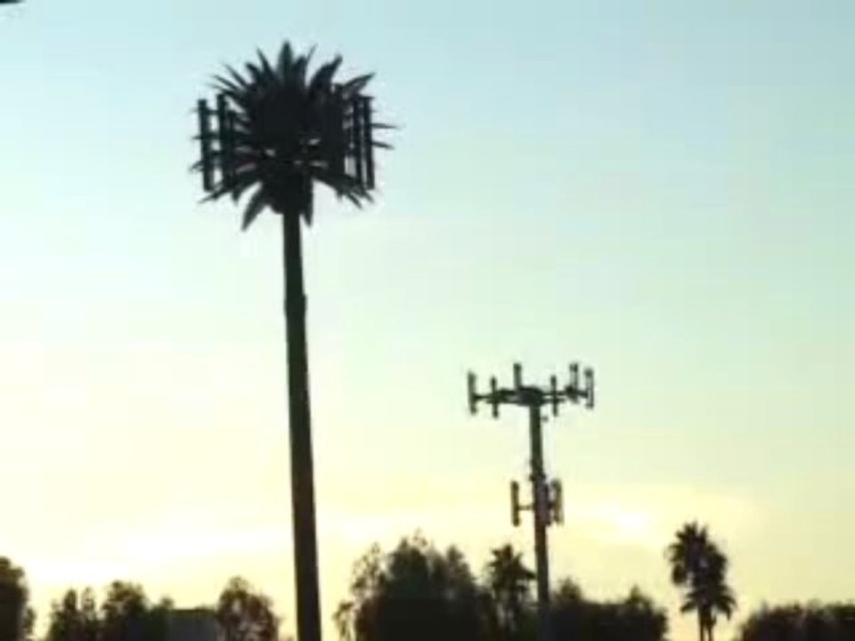 Emf Radiation Effects, Mobile Phone Radiation Protection