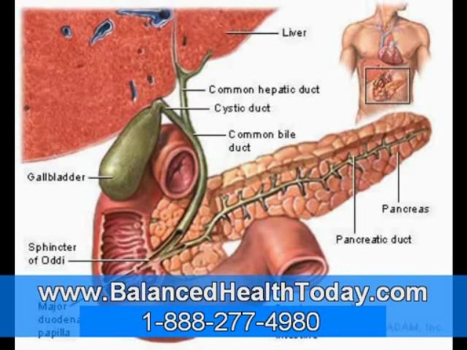 Removal Gallbladder, Detoxification Liver