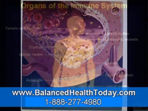 Gallbladder Gallstone, Liver Gall Bladder Flush