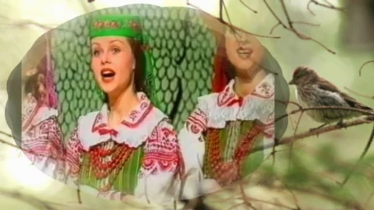 Ej przeleciał ptaszek