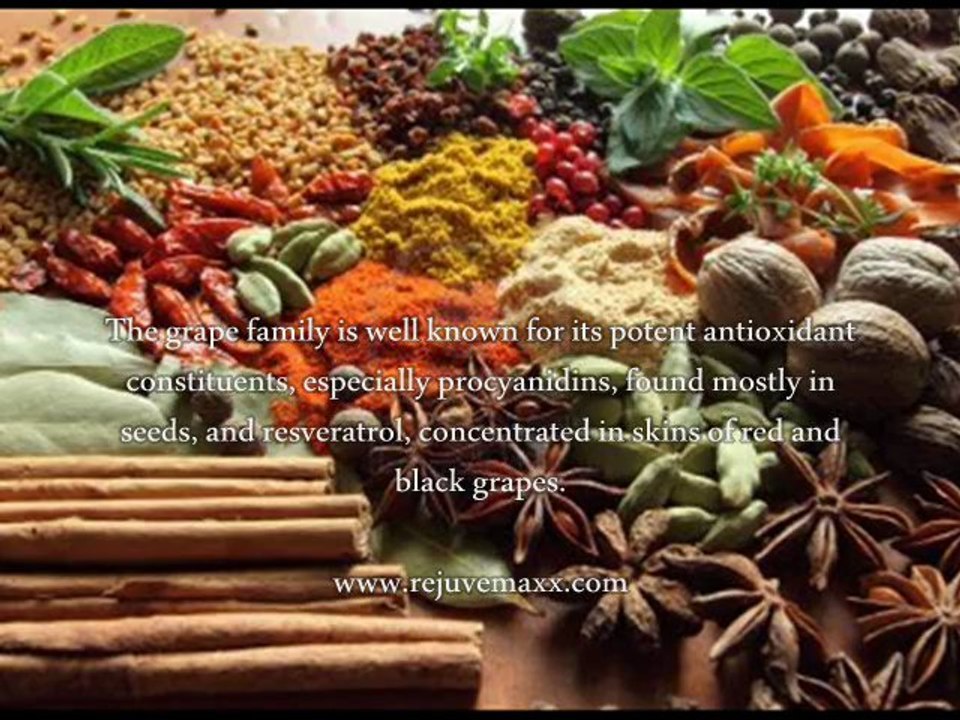 Anti Aging Natural Herbs - What Is The Best Anti Aging Natural Herbs In US?