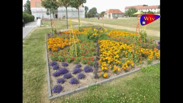 Kaffeeklatsch im Bürgerpark am 14.07.2013 mit der Gruppe Silent Song 40 years of Rock´n Roll