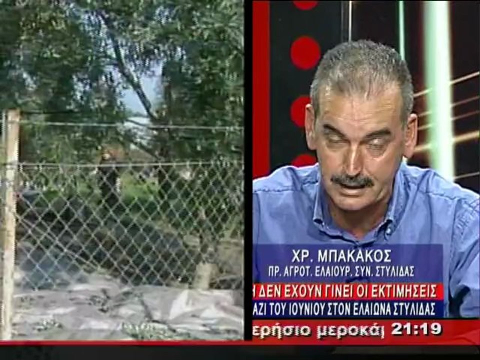 Η καθυστέρηση στη δακοκτονία απειλεί την ελαιοπ...