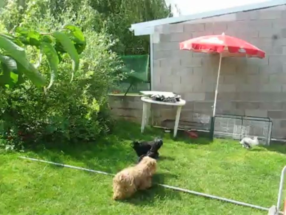 suite des jeux de moumousse