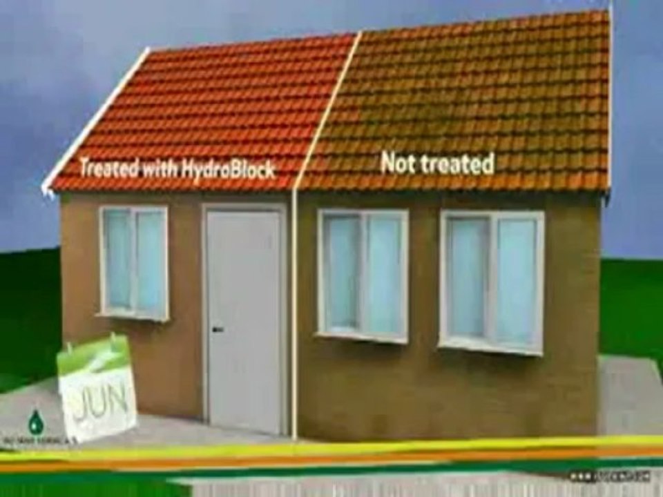 Remove moss from your walls. Stop damp penetration in walls. waterproofing house walls.