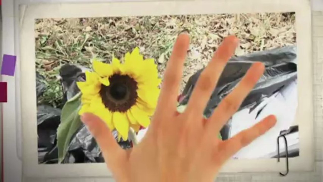 TV3 - 33 recomana - WASTELAND. Mercat de les Flors. Festival Grec