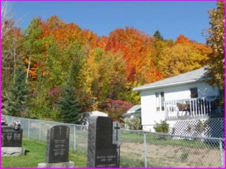 Couleurs d'automne --- Autumn colors --- Colores de otono