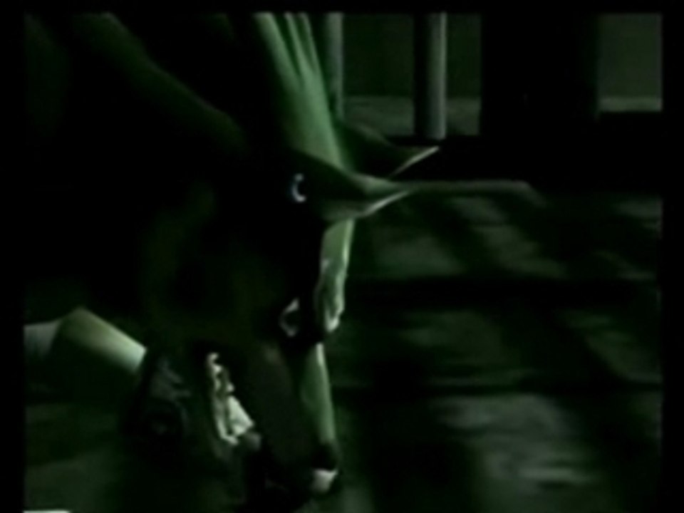 Zelda TP - the Legend reborn...